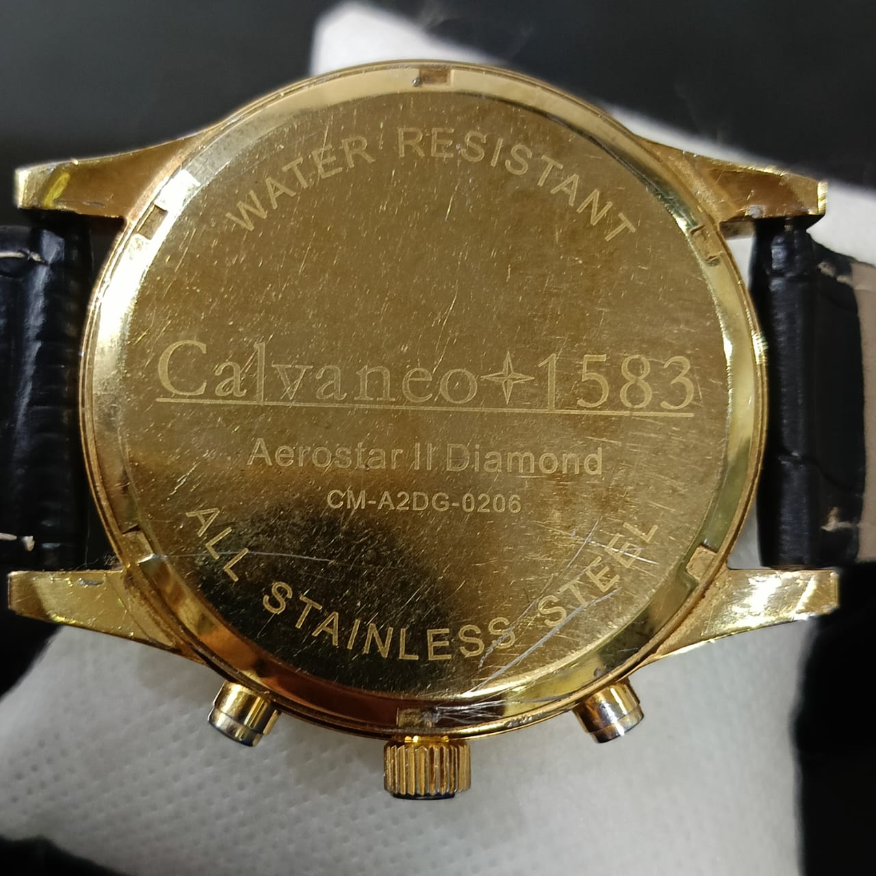 Montre calvaneo1584 en daiment
