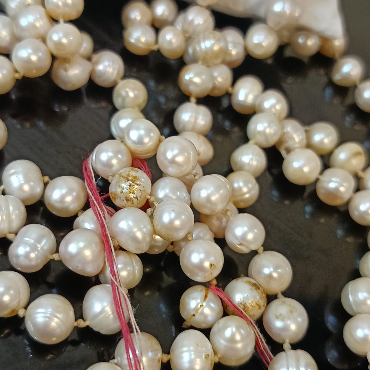 عقد من لؤلؤ طبيعي كبير بحجاة لاصلاح