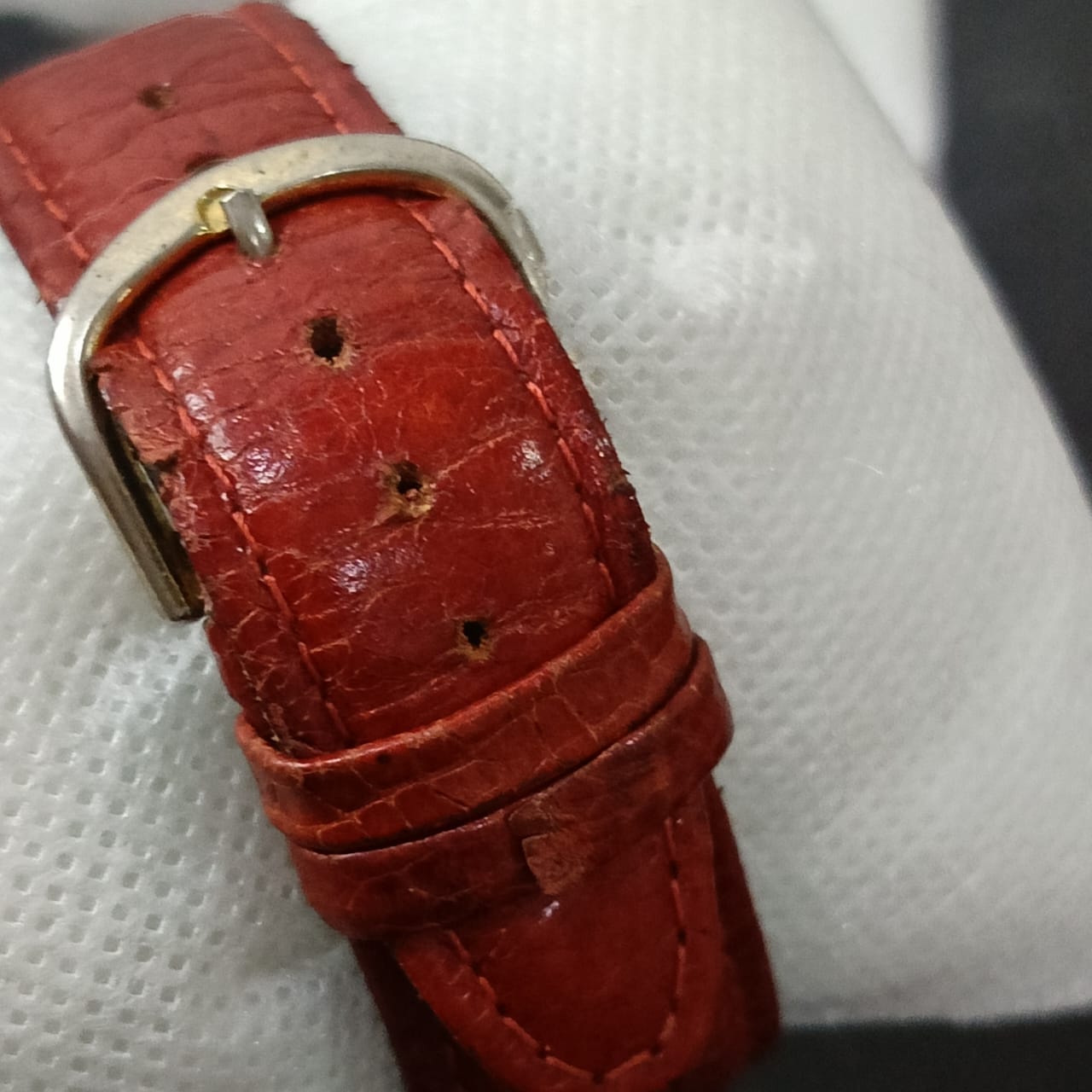 Montre dani danicci genova