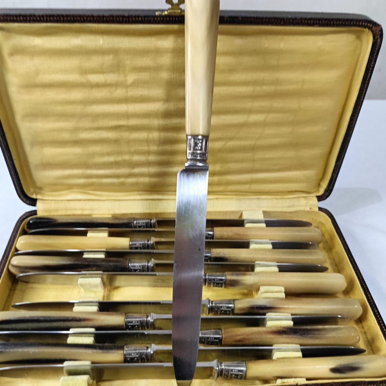 Coffret argenté antique vintage 12 pièce عاج وفضة
