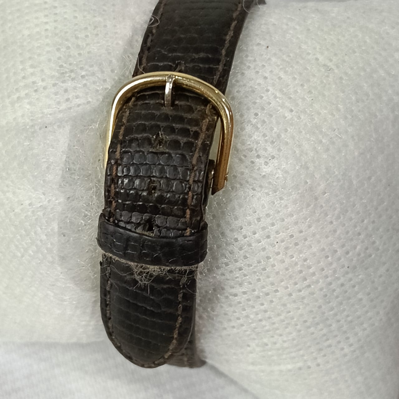 Montre certina Quartz original