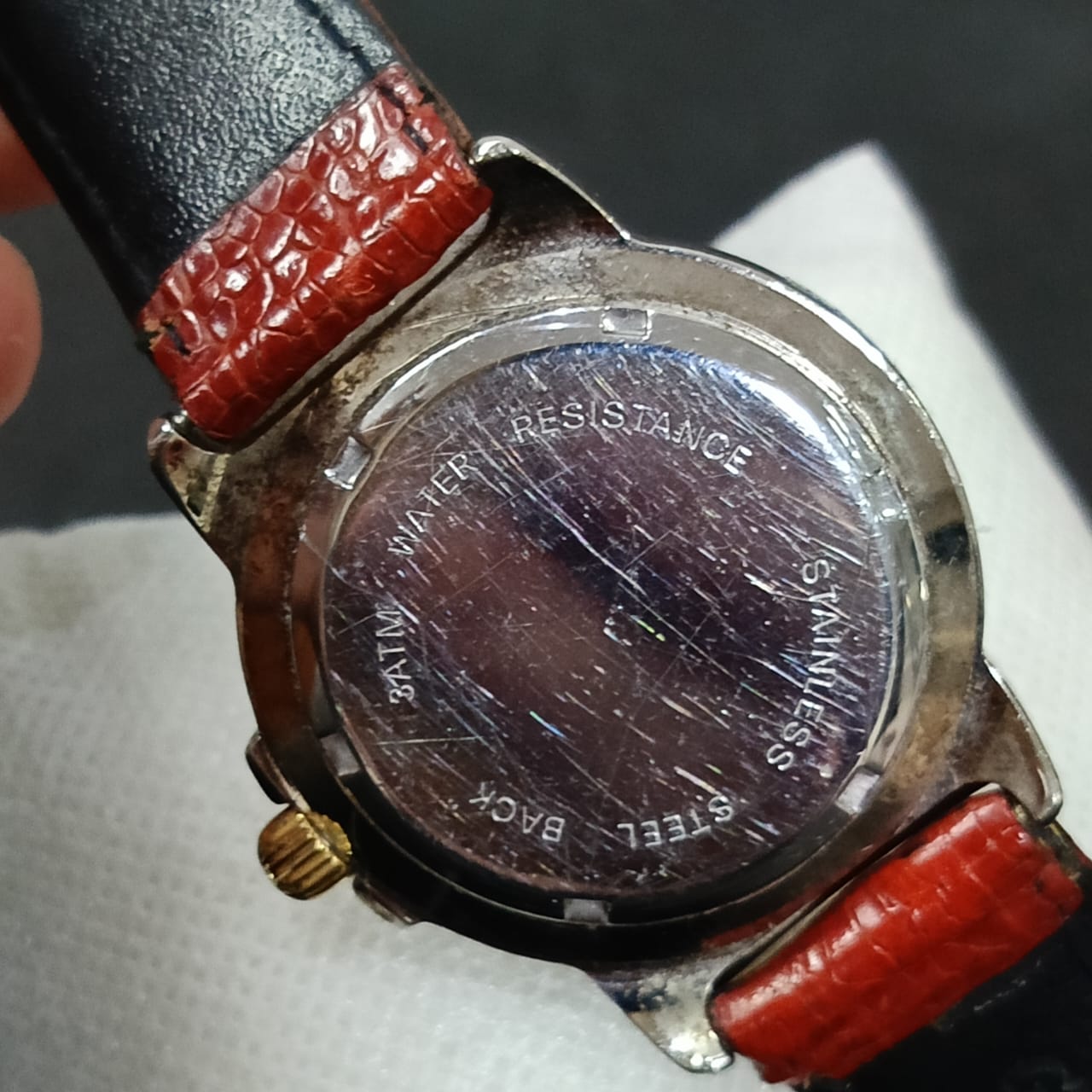 Montre dani danicci genova