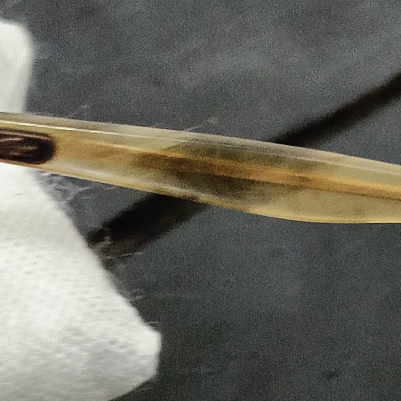 Lunette Lacoste France original