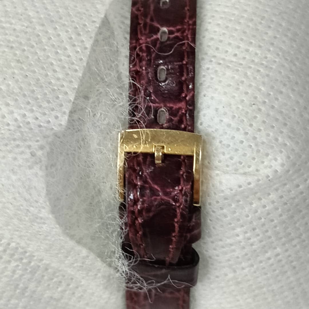 Montre Rotary femme original Quartz