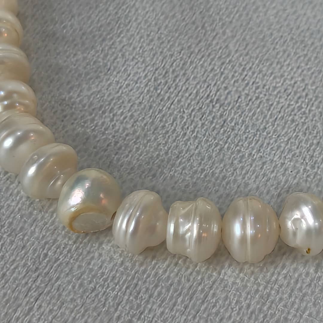 عقد لؤلؤ طبيعي تحفة 
طول مغلق 25cm
Prix 8500